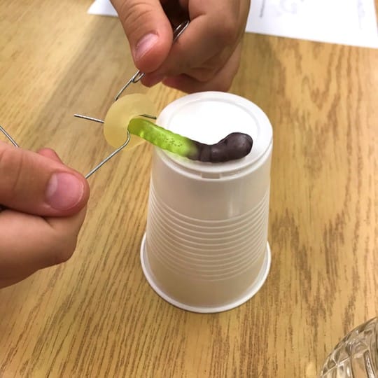 Photo of students using paper clips and gummy LifeSavers to "Save Fred" in a team-building activity.