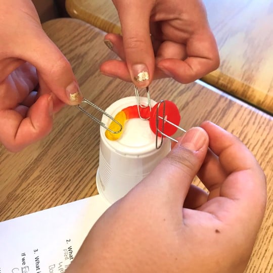 Photo of students using paper clips and gummy LifeSavers to "Save Fred" in a team-building activity.