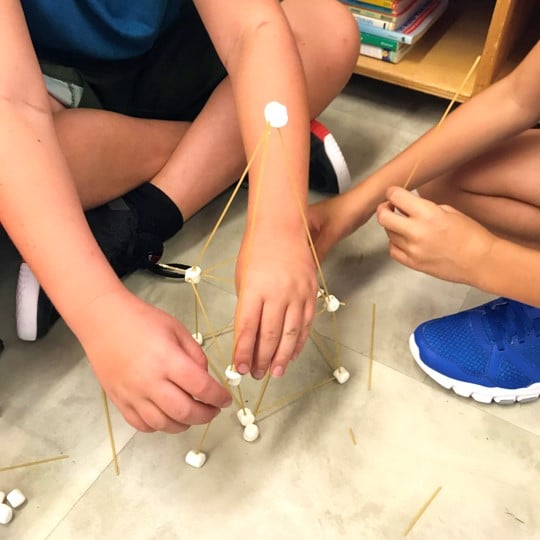 Students using spaghetti sticks and mini marshmallows to build a structure