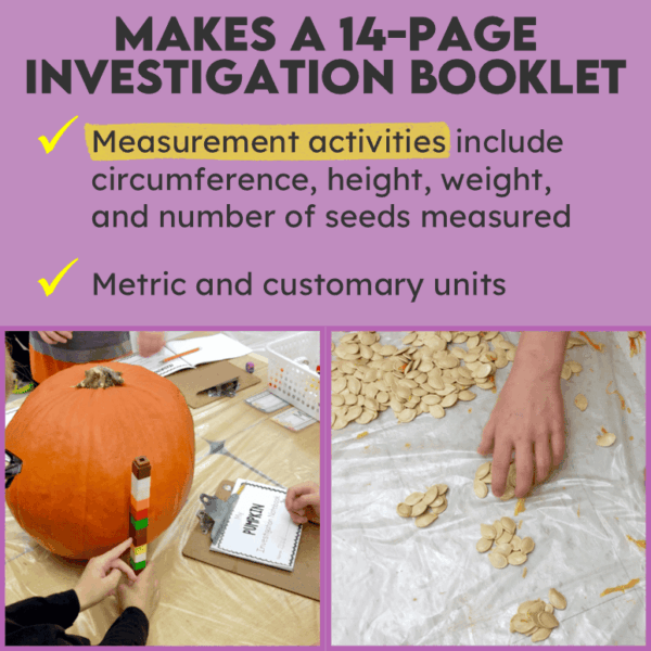Pumpkin Activities for Pumpkin Day