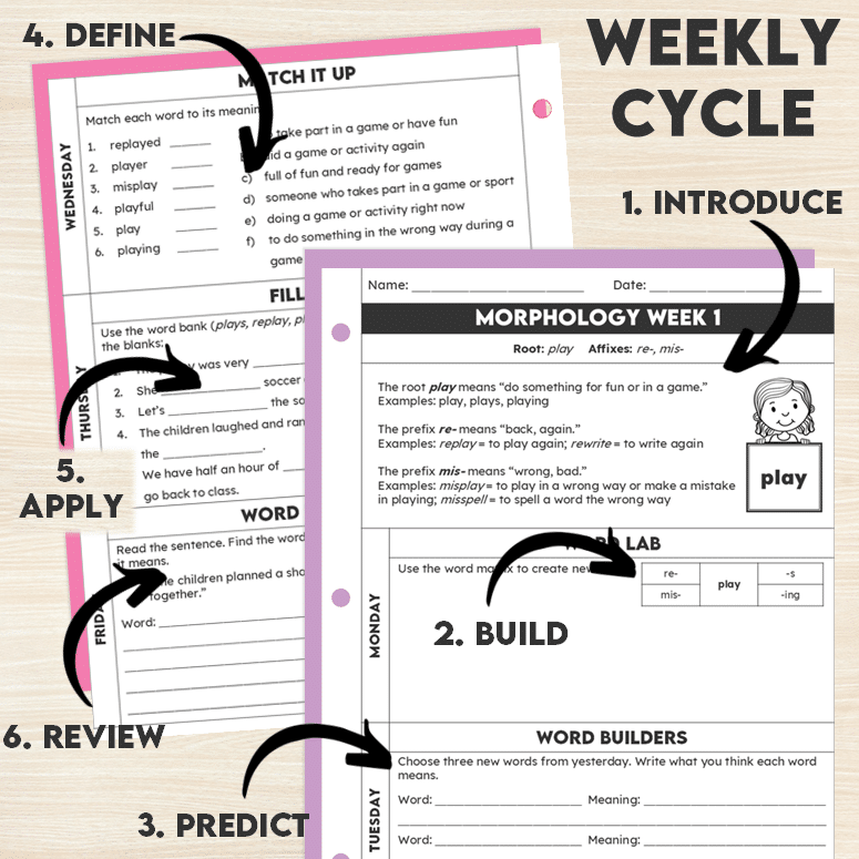 Morphology Worksheets for Grades 3/4 Bundle