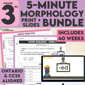 Gr 3 Prefix and Suffix Worksheets + Slides