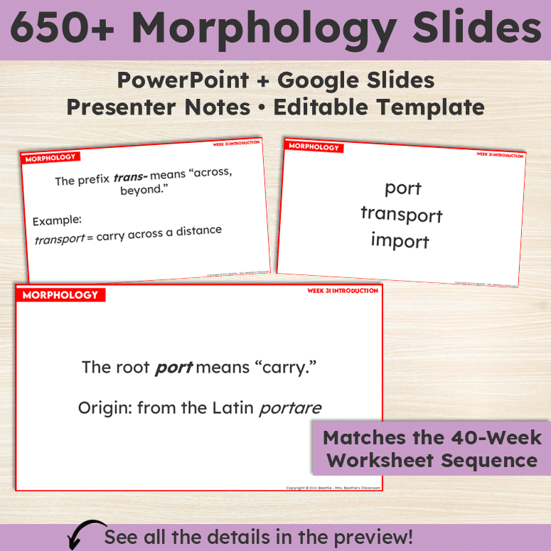 Gr 4 Morphology Slides